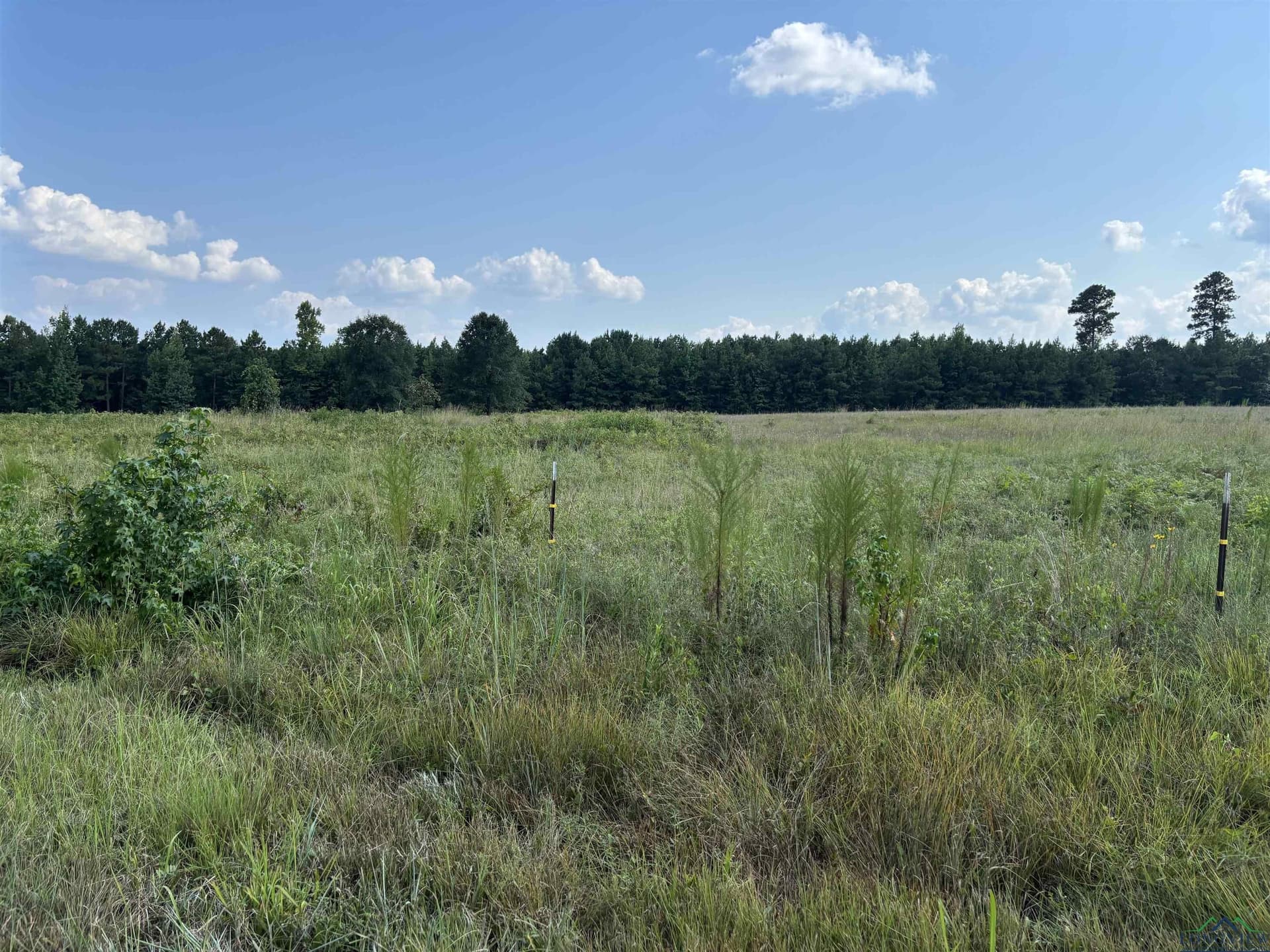 6.62 acres in Marion County gallery image 2