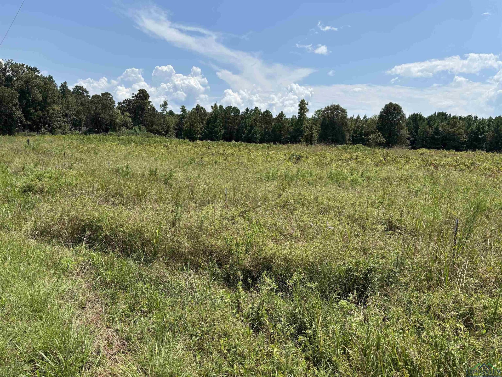 6.62 acres in Marion County featured view