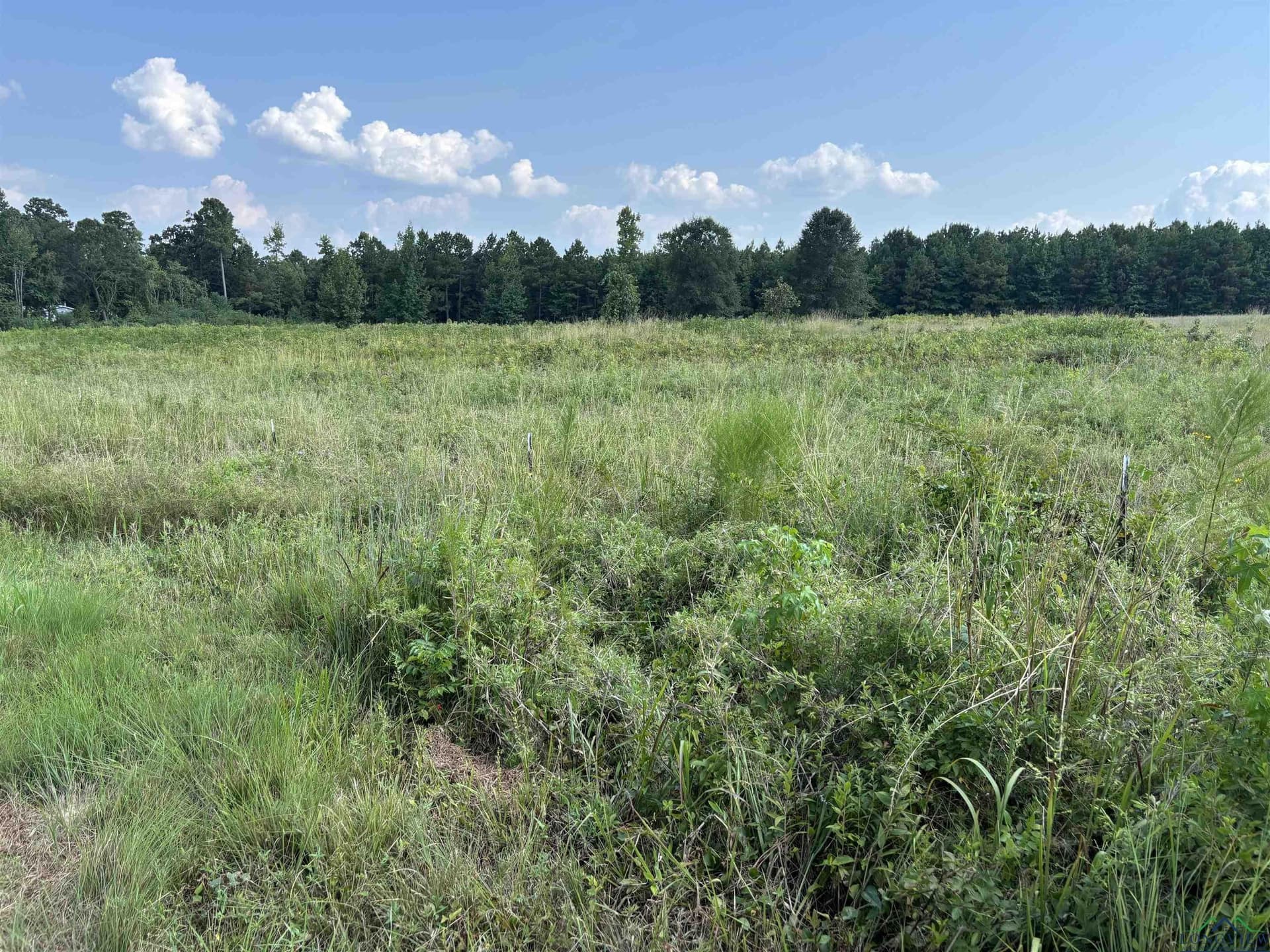 6.62 acres in Marion County gallery image 4