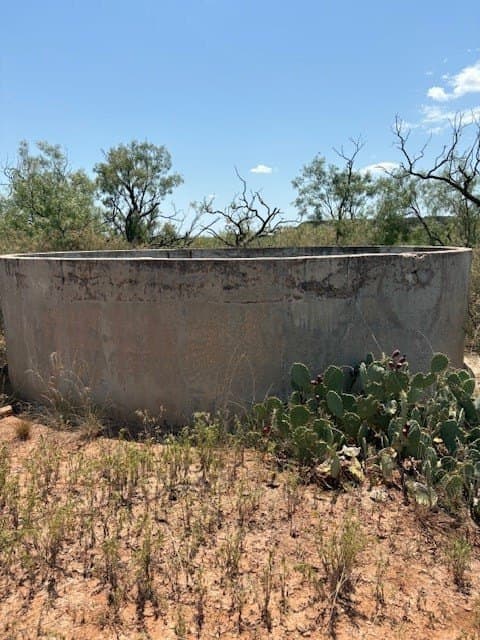 174.1 acres in Coke County gallery image 3