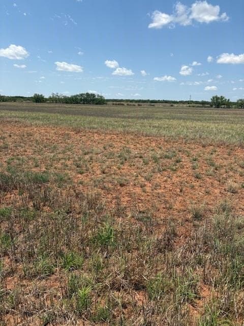 174.1 acres in Coke County