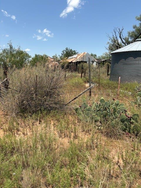 174.1 acres in Coke County gallery image 4