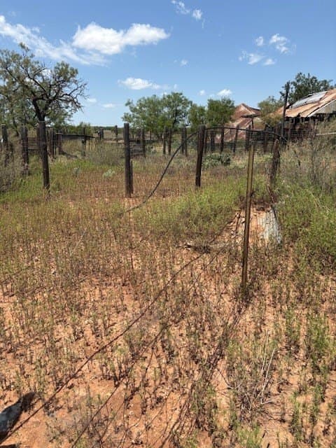 174.1 acres in Coke County featured view