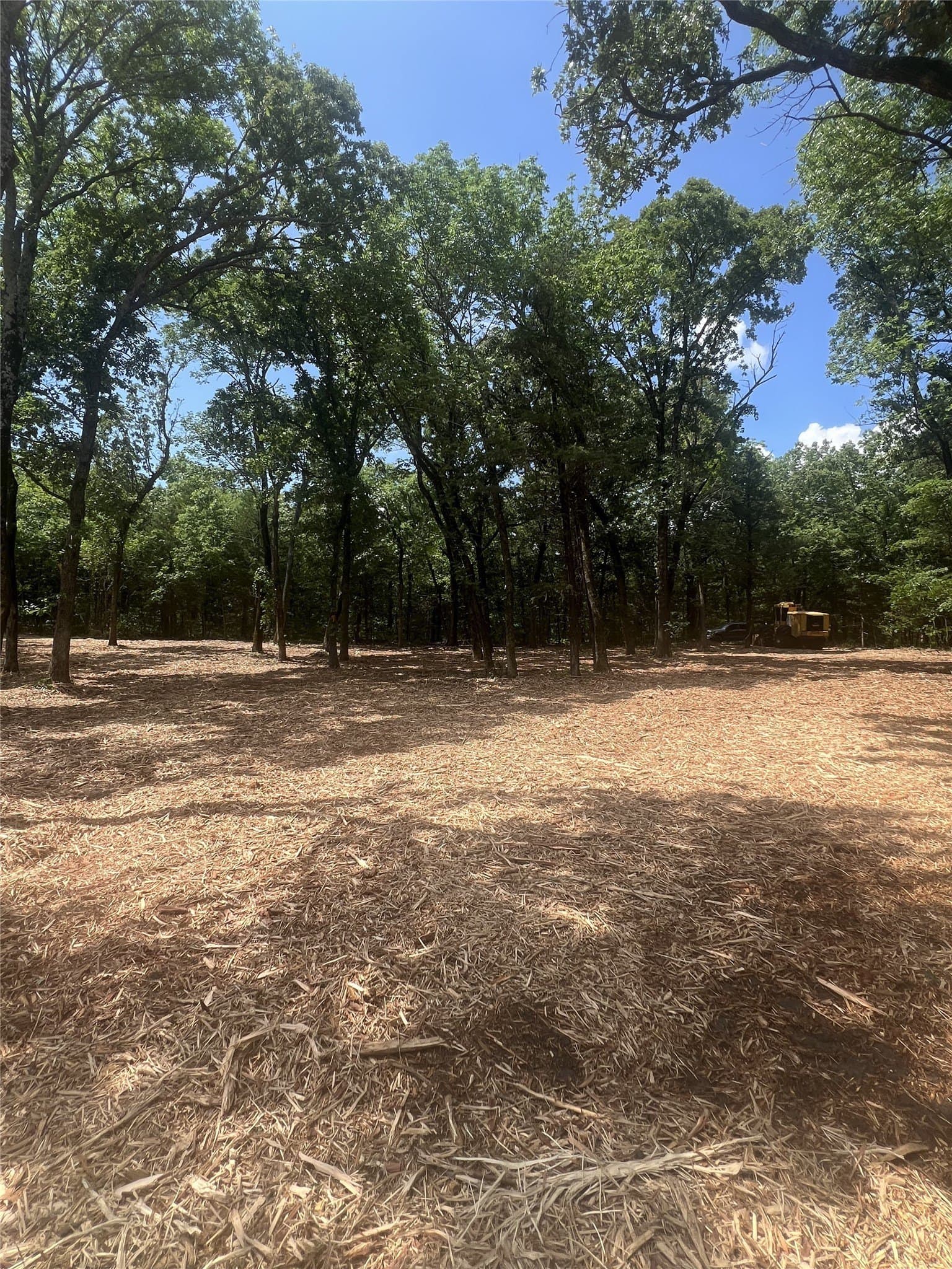 1.88 acres in Fannin County gallery image 3