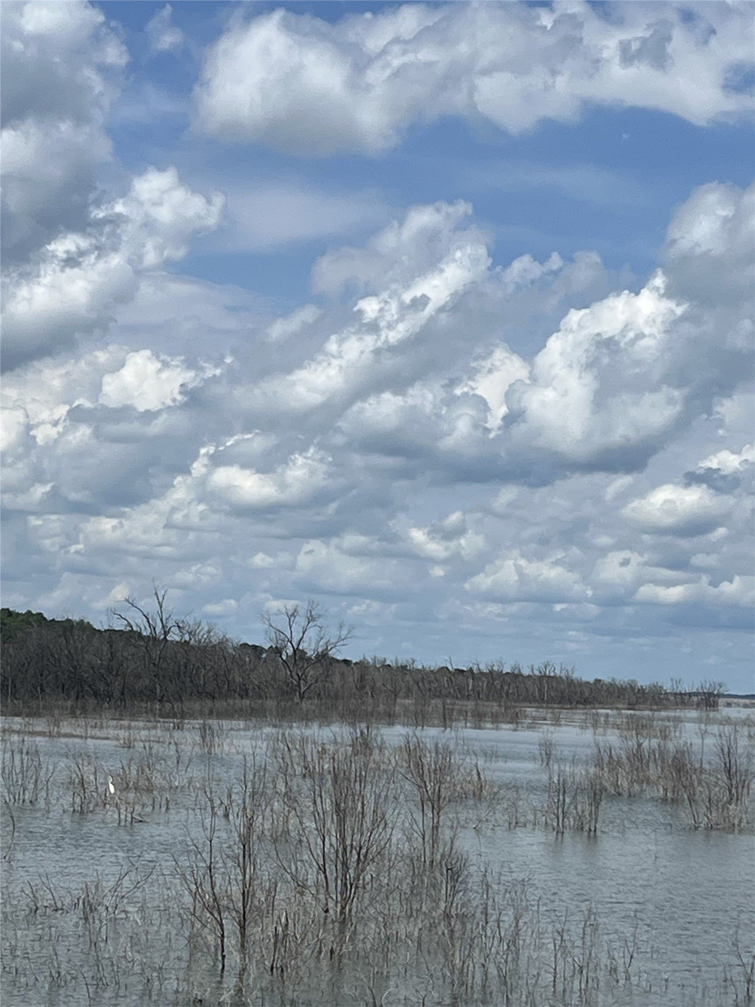 1.88 acres in Fannin County - photo 8