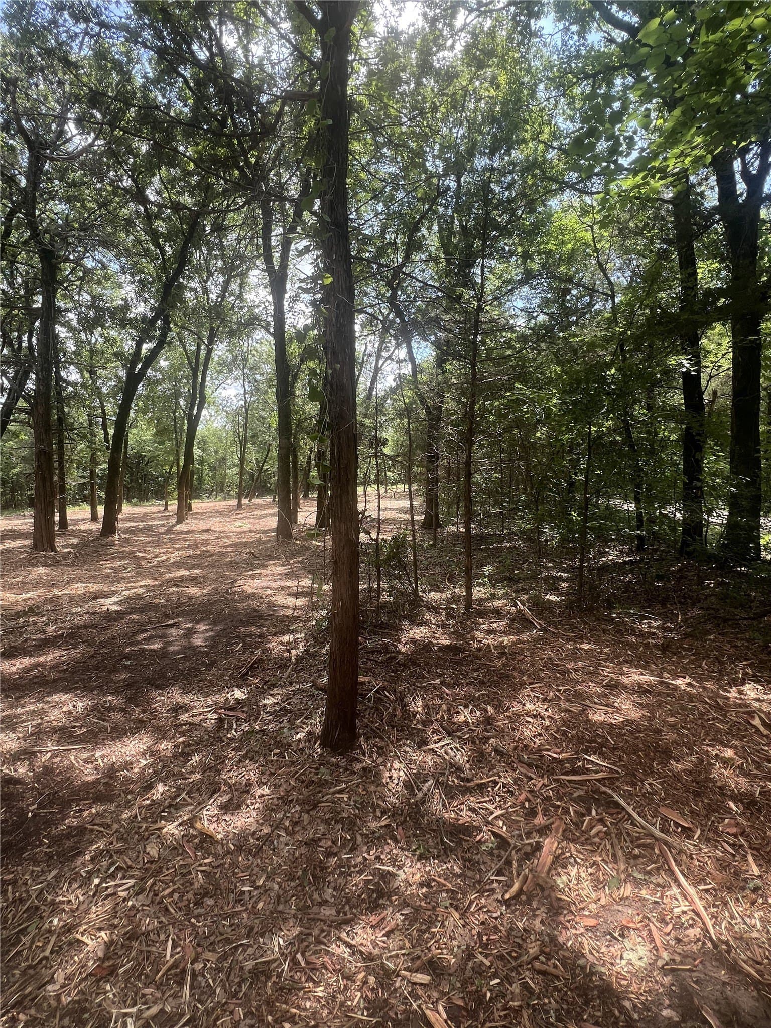 1.88 acres in Fannin County gallery image 4