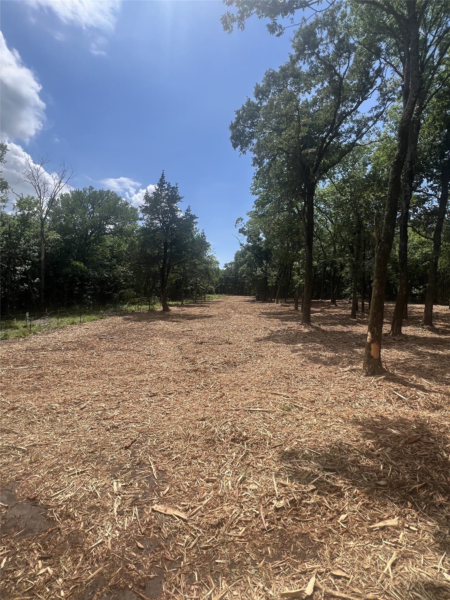 1.88 acres in Fannin County gallery image 2