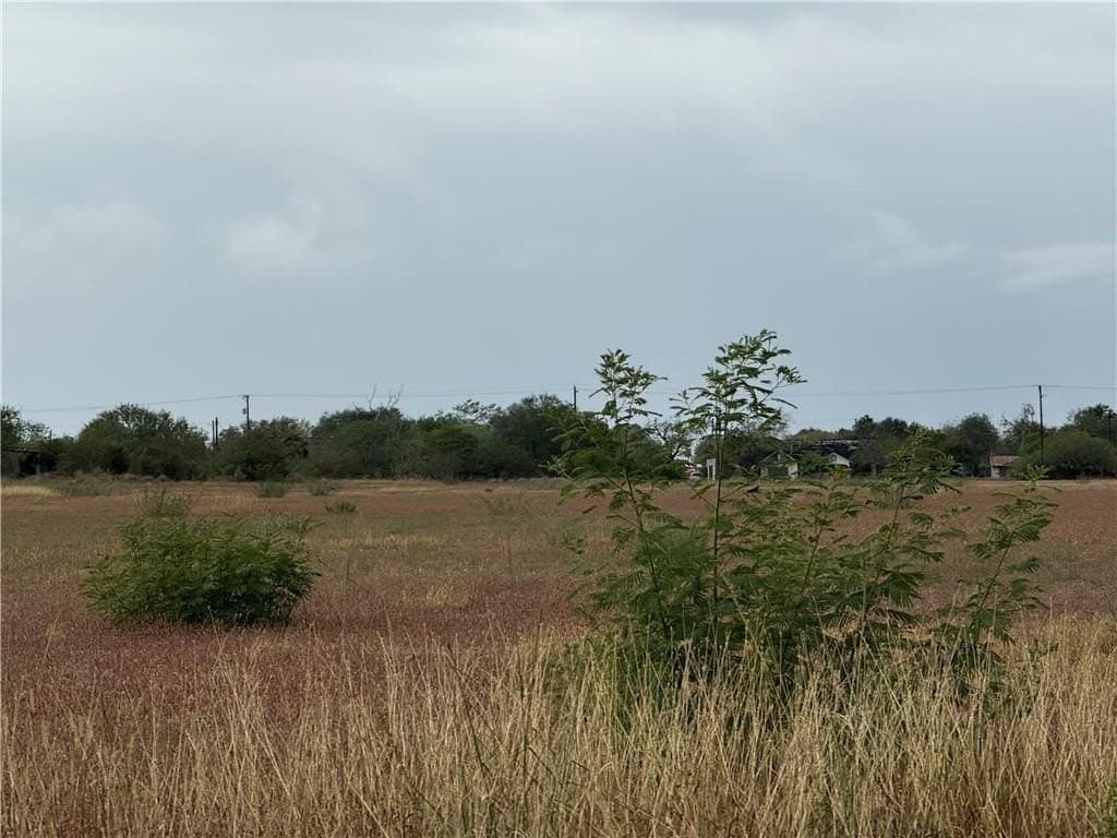 3.97 acres in Jim Wells County gallery image 2