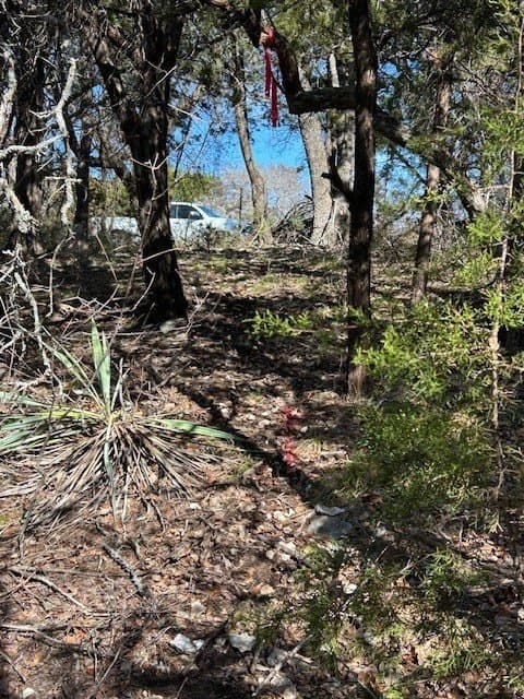 0.23 acres in Hill County - photo 19