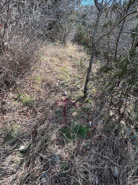 0.23 acres in Hill County - photo 14