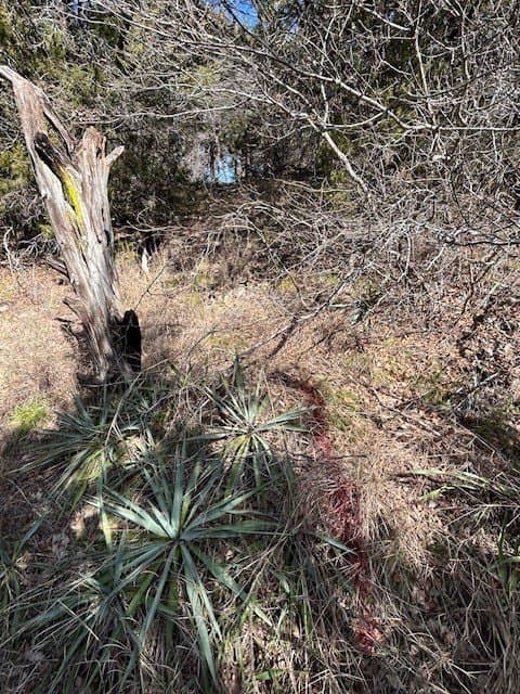 0.23 acres in Hill County - photo 17