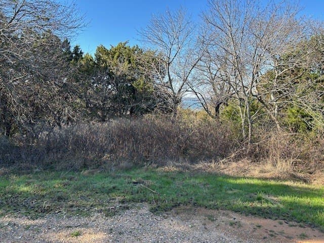 0.23 acres in Hill County - photo 3