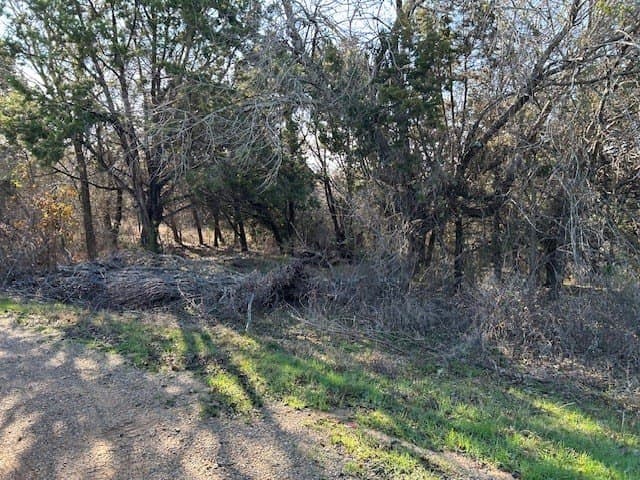 0.23 acres in Hill County - photo 6