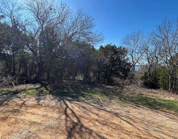 0.23 acres in Hill County - photo 4
