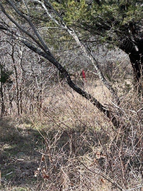 0.23 acres in Hill County - photo 10