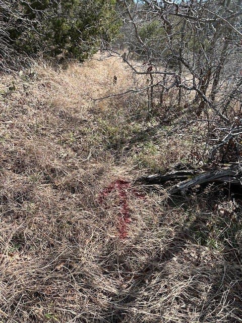 0.23 acres in Hill County - photo 12