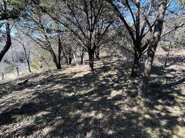 0.23 acres in Hill County - photo 2