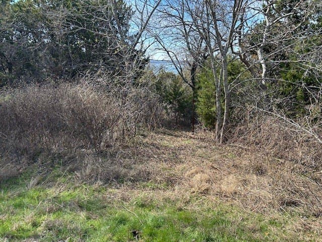 0.23 acres in Hill County - photo 8