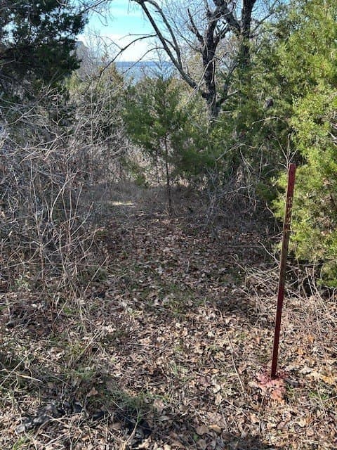 0.23 acres in Hill County - photo 9