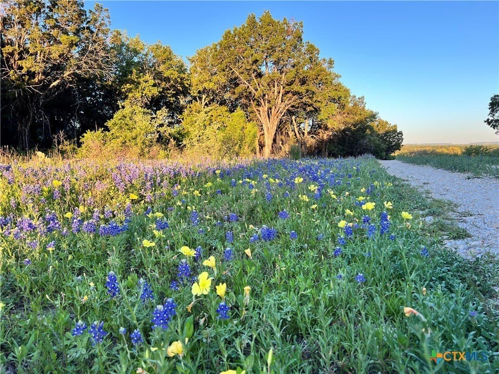 111 acres in Coryell County - photo 18