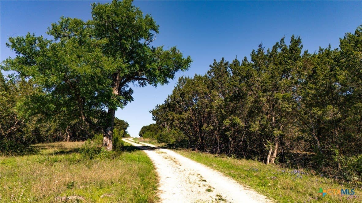 111 acres in Coryell County - photo 8
