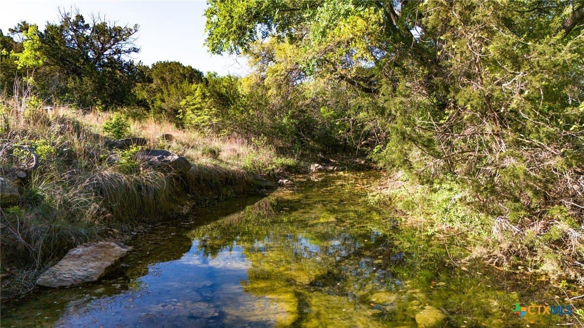 111 acres in Coryell County - photo 16