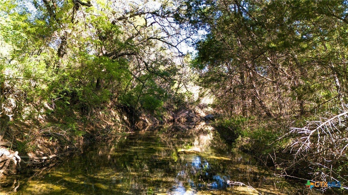111 acres in Coryell County - photo 47