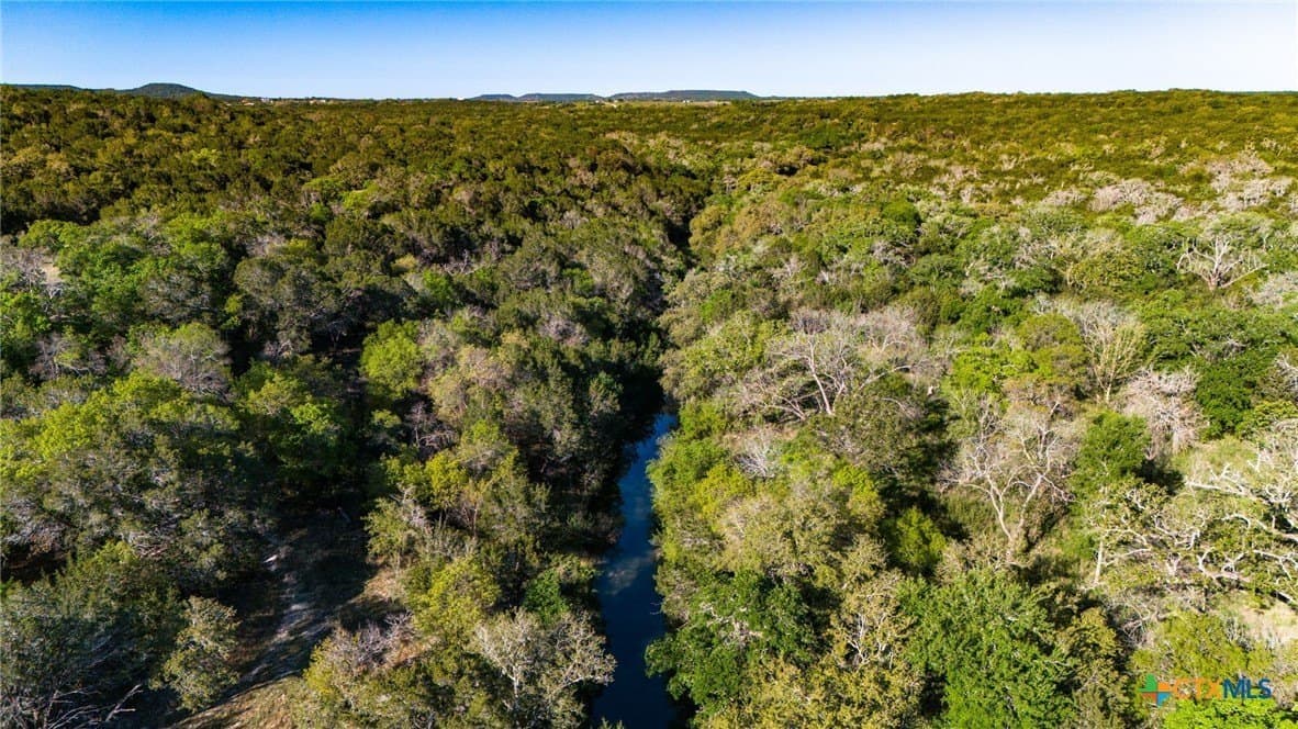 111 acres in Coryell County gallery image 2