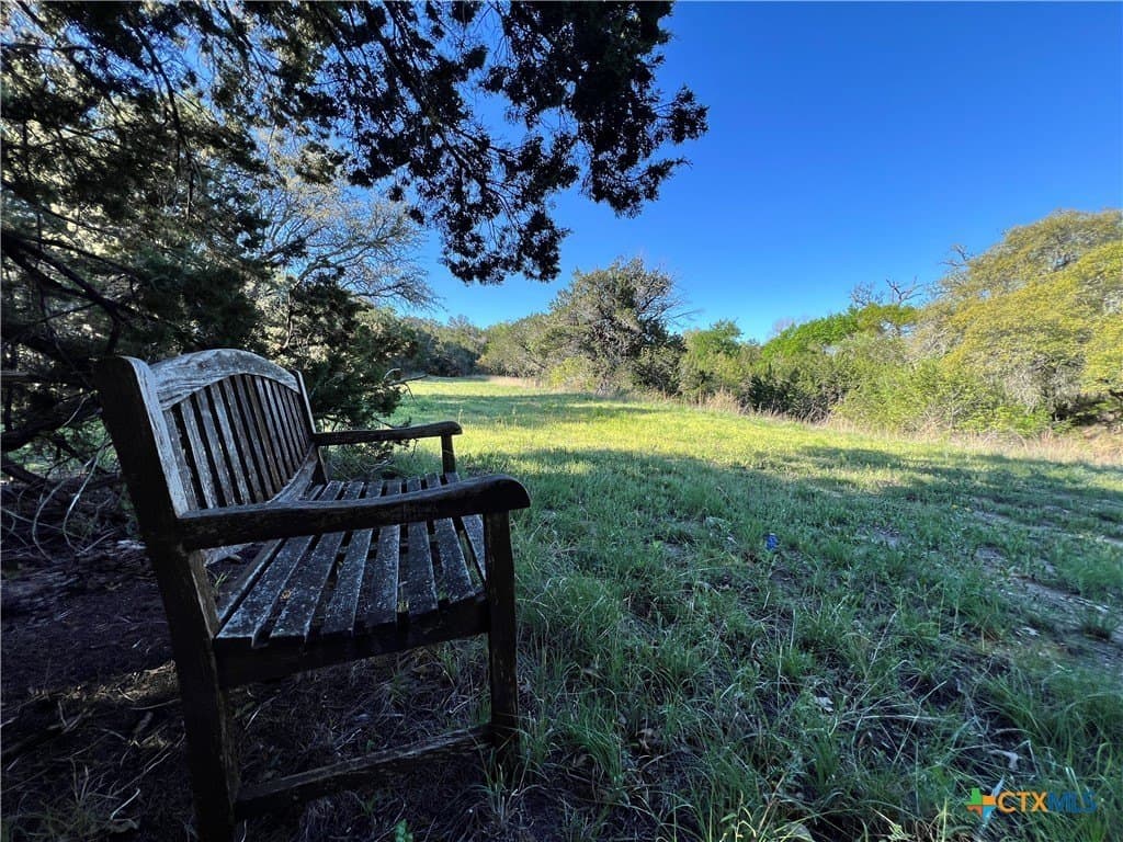 111 acres in Coryell County gallery image 4