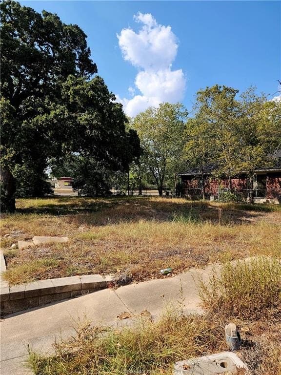 0.12 acres in Brazos County - photo 13