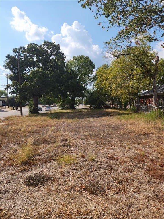 0.12 acres in Brazos County - photo 8
