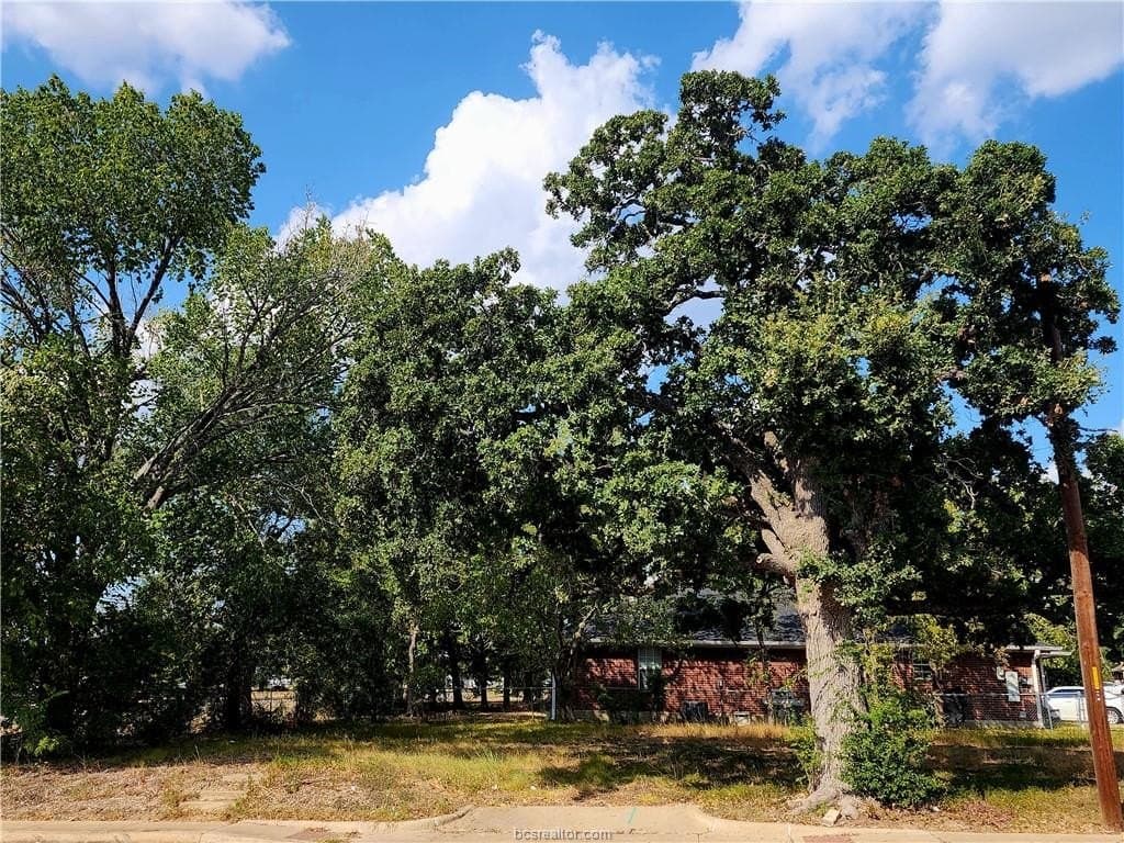 0.12 acres in Brazos County - photo 4