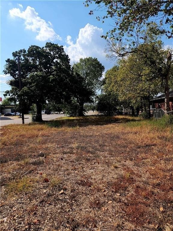 0.12 acres in Brazos County - photo 15