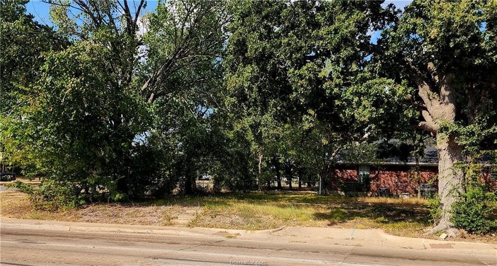 0.12 acres in Brazos County - photo 2