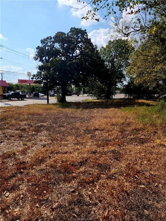 0.12 acres in Brazos County - photo 14