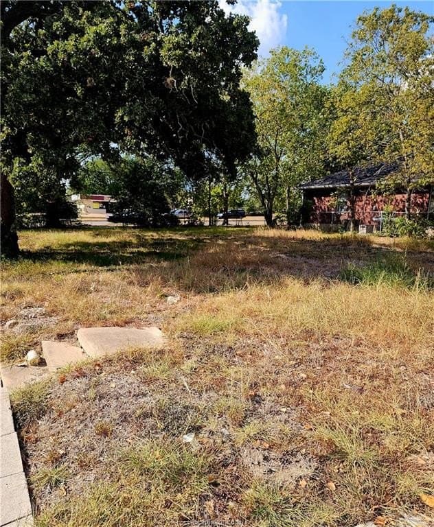 0.12 acres in Brazos County - photo 10