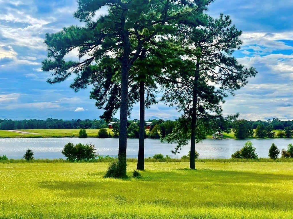 1.3 acres in Texas County - photo 9