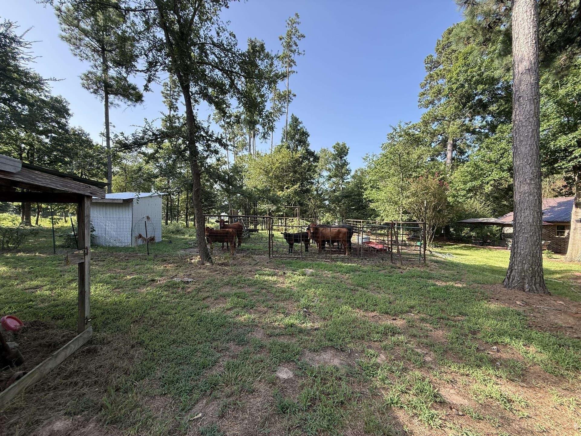 17 acres in Upshur County - photo 42