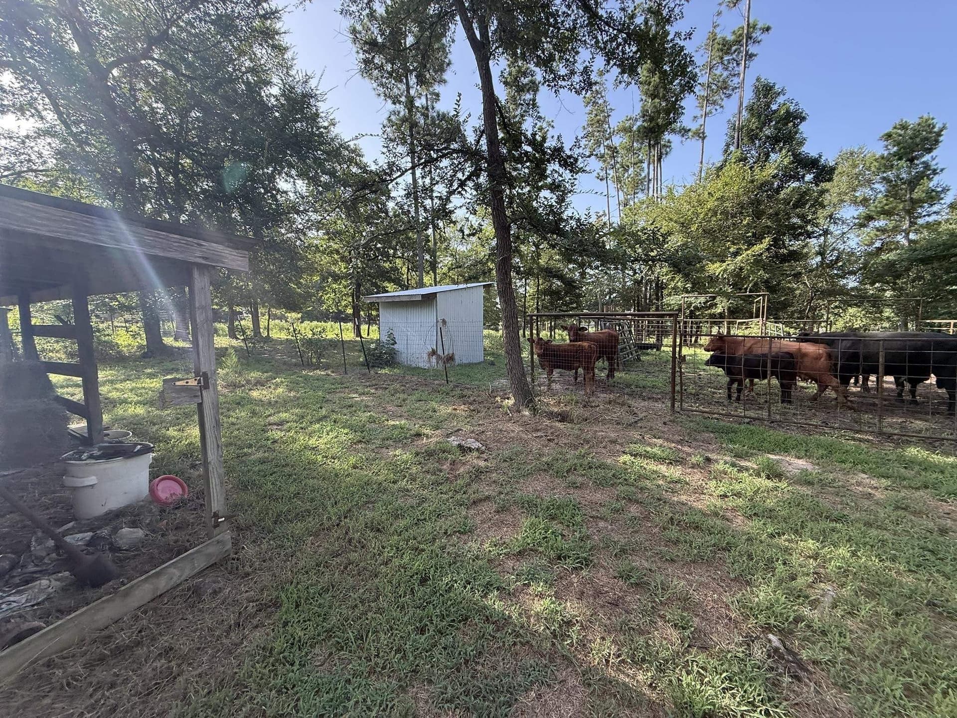 17 acres in Upshur County - photo 43