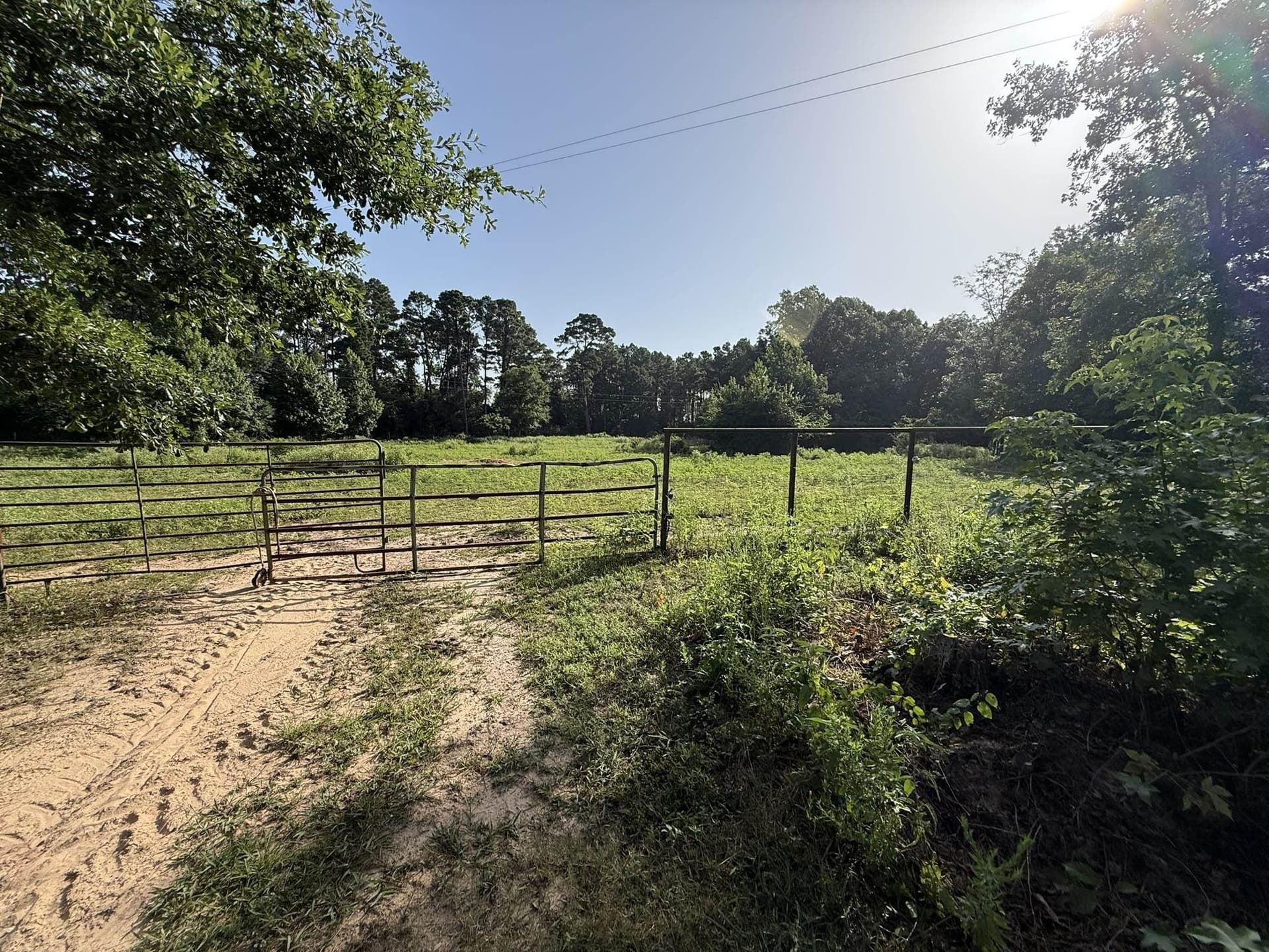 17 acres in Upshur County - photo 38