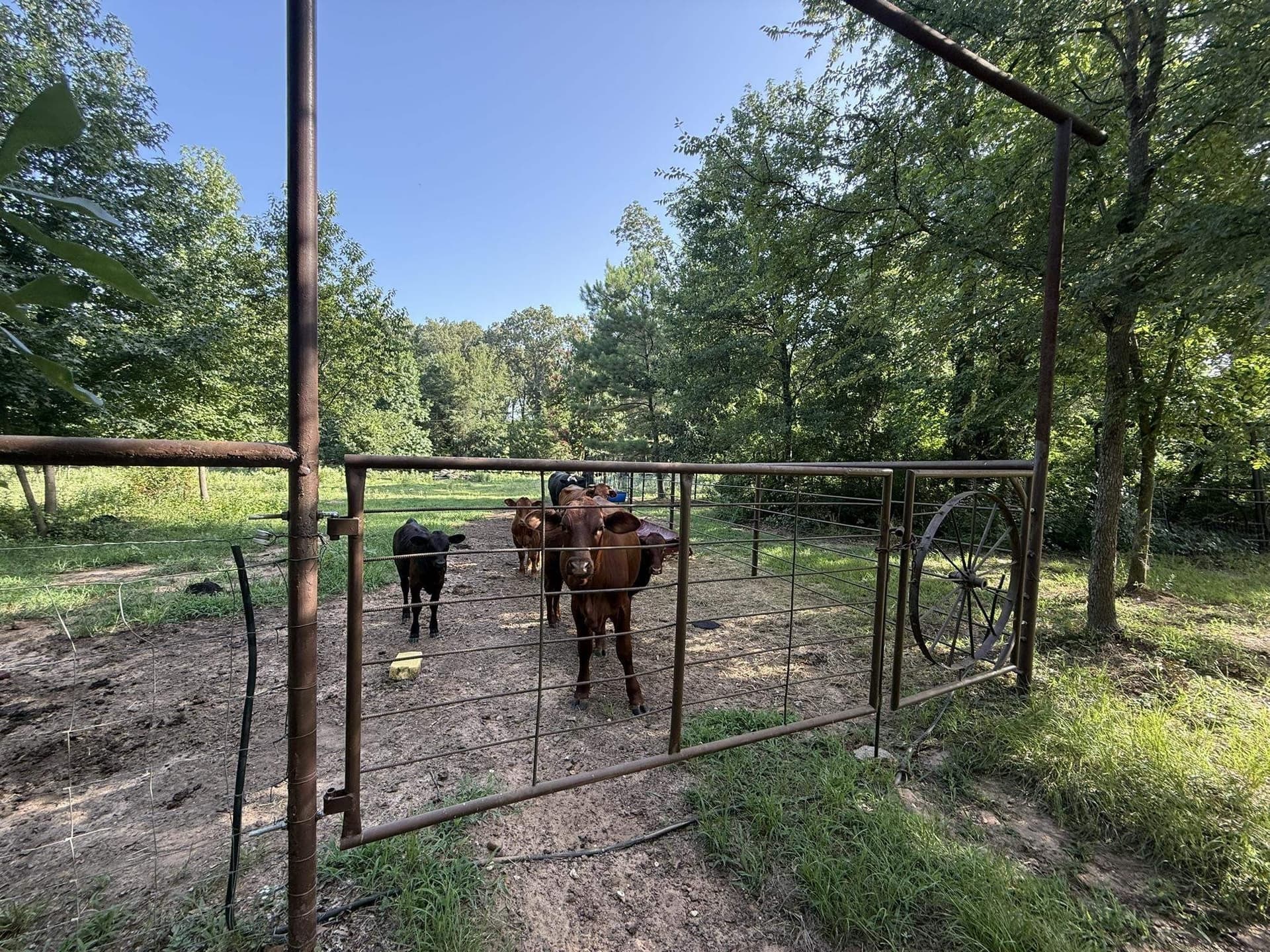 17 acres in Upshur County - photo 45