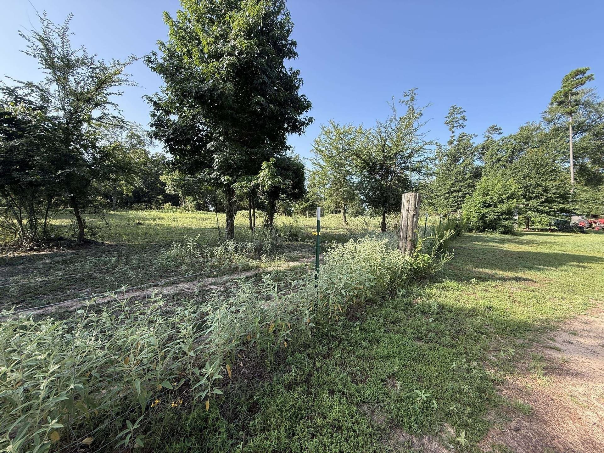 17 acres in Upshur County - photo 41