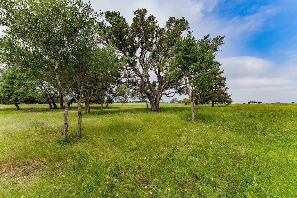 6.25 acres in Fayette County gallery image 4