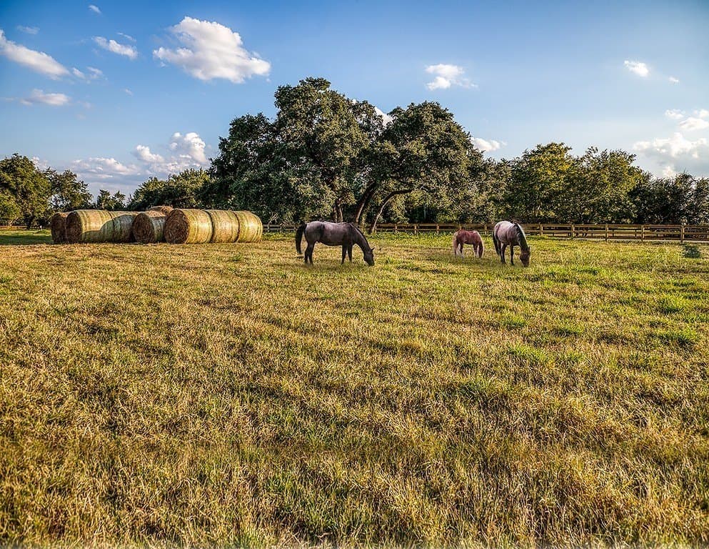 6.25 acres in Fayette County gallery image 2