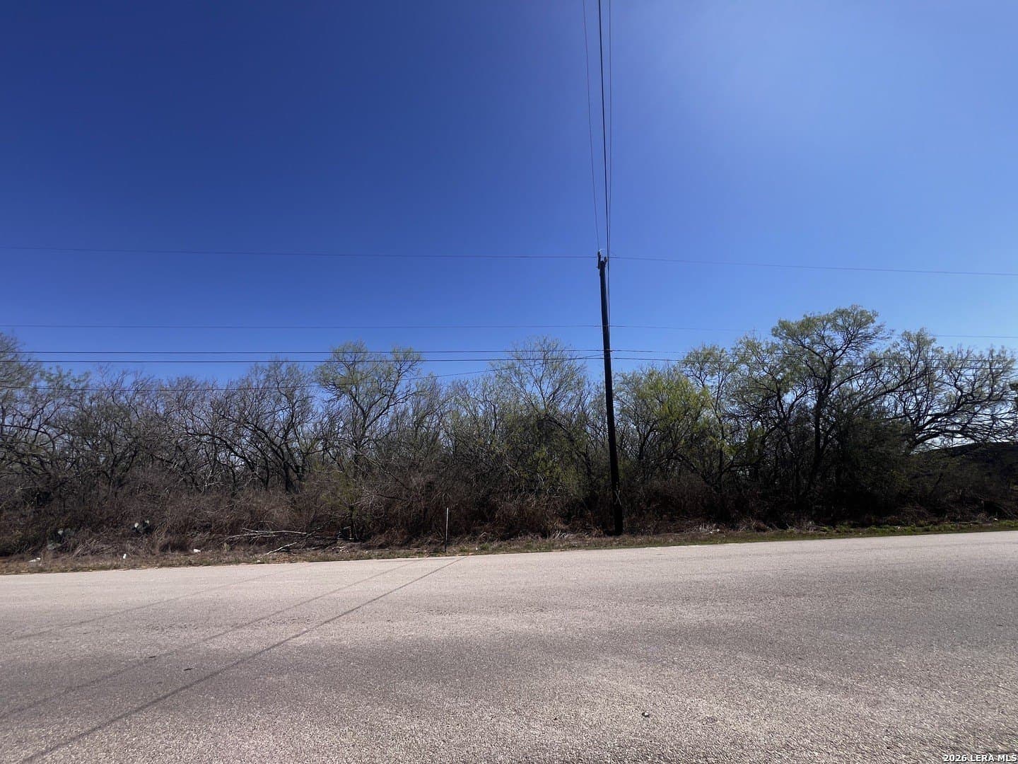 10 acres in Bexar County gallery image 4