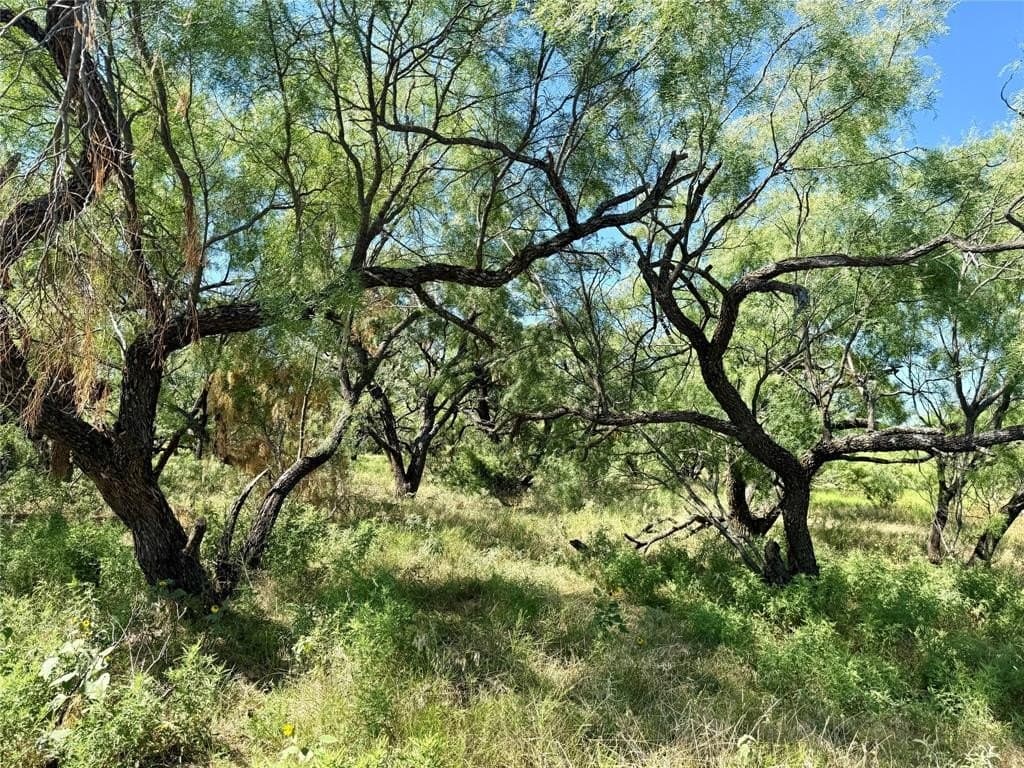 254 acres in Brown County gallery image 2