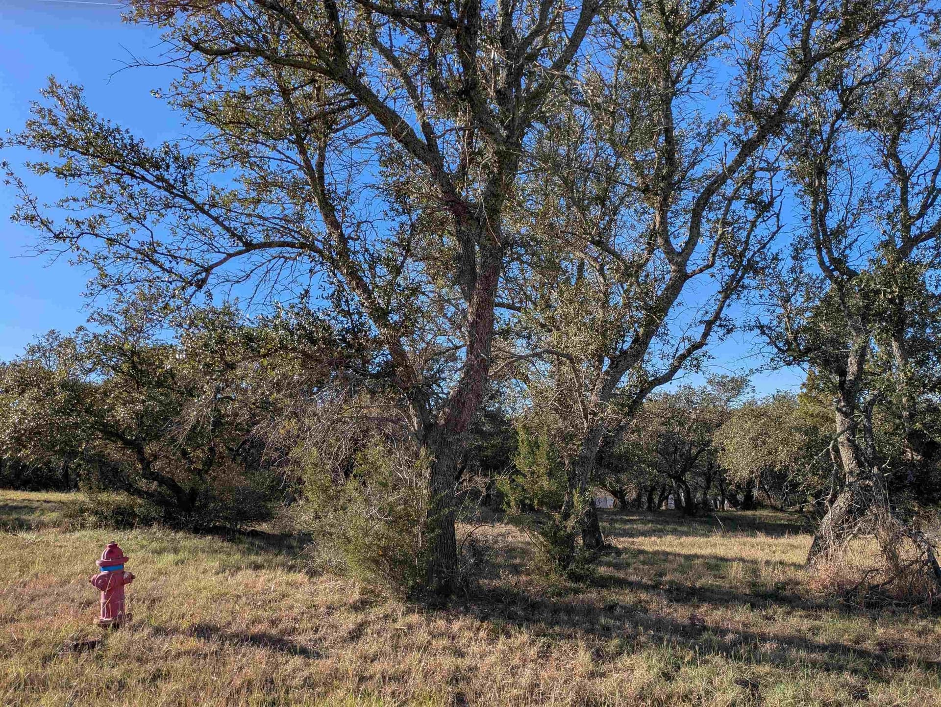 0.22 acres in Llano County gallery image 4