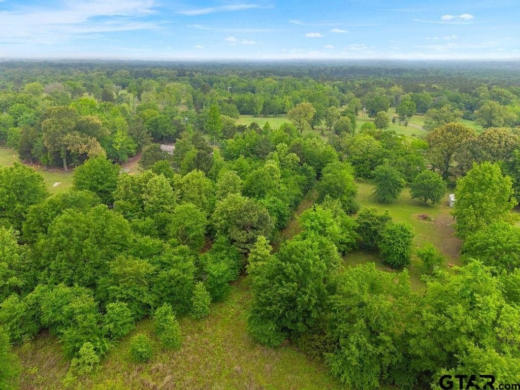 5.5 acres in Van Zandt County gallery image 3