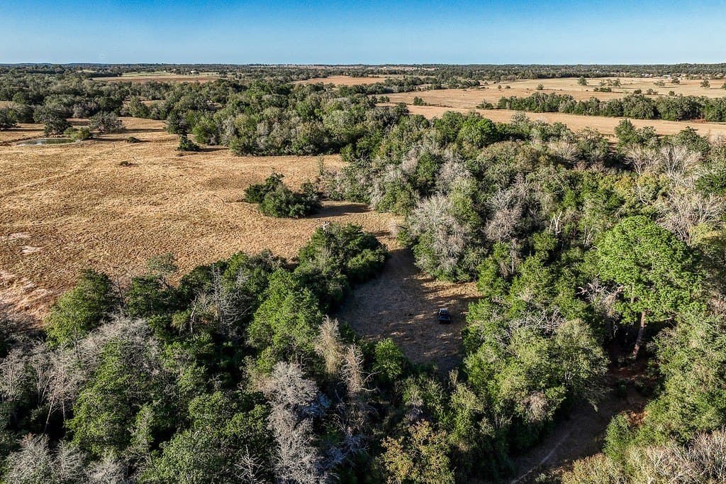 62.34 acres in Fayette County gallery image 4