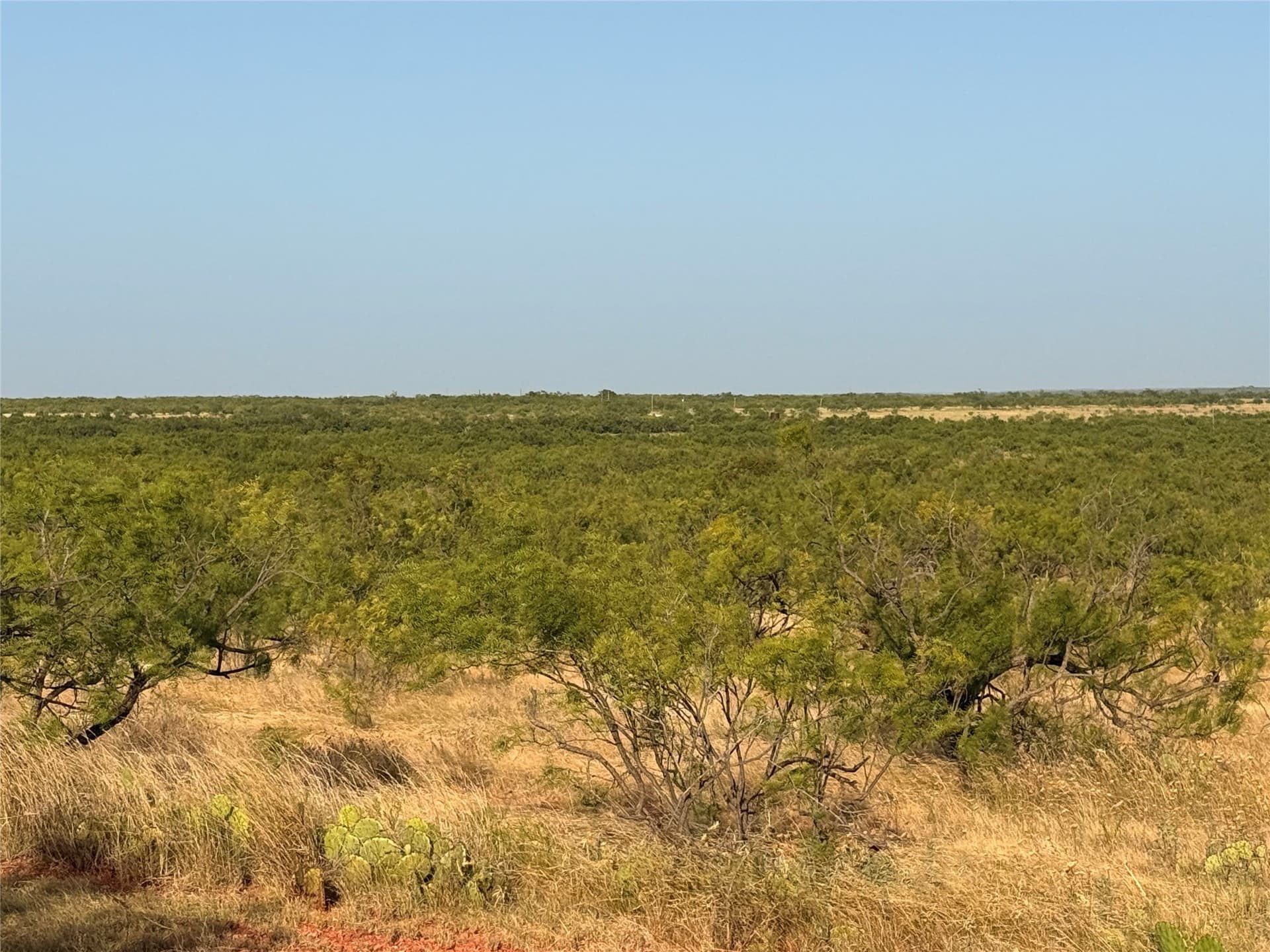 105 acres in Taylor County - photo 6